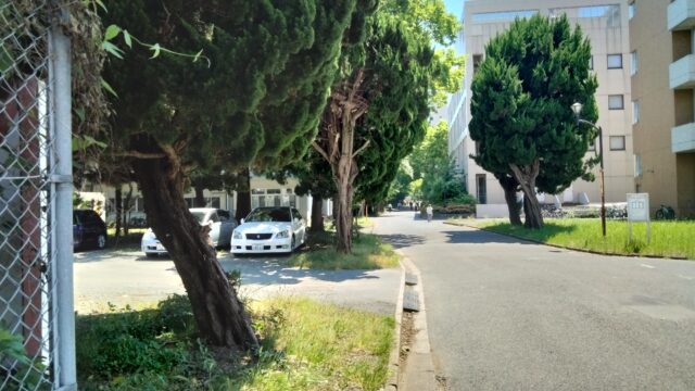 千葉大学構内