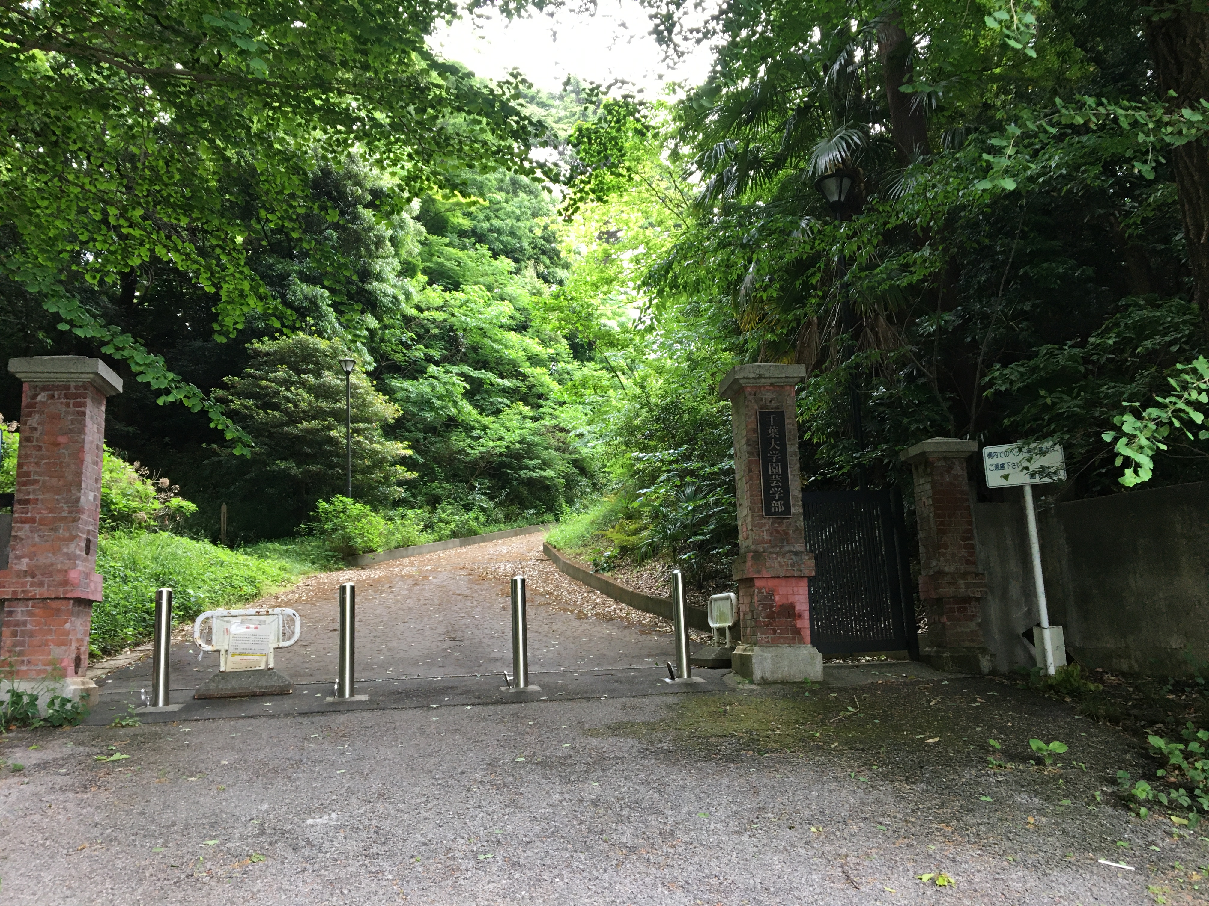 千葉大学・松戸キャンパス